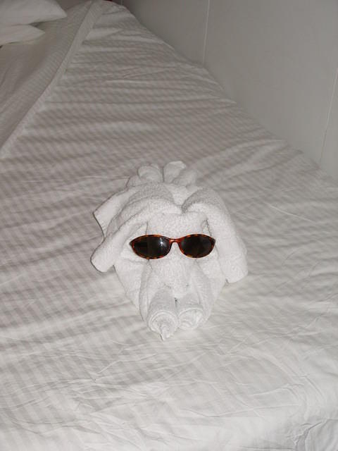 Bermuda 8 2005 160